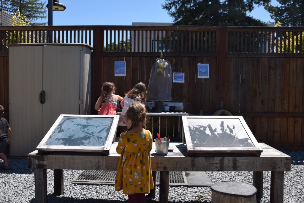 A child looking at a garden at the Children's Museum of Sonoma of Santa Rosa, California