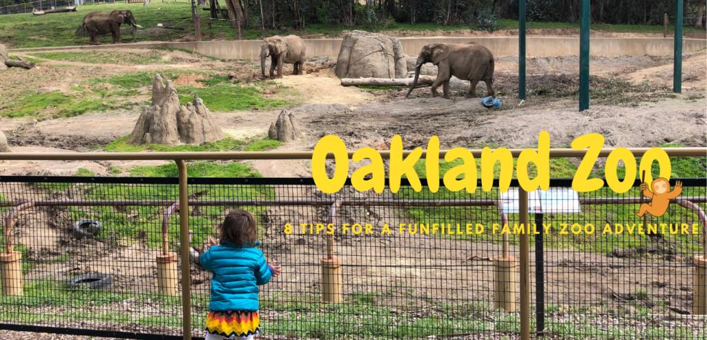 A child looks at a pen of elephants at the Oakland Zoo.