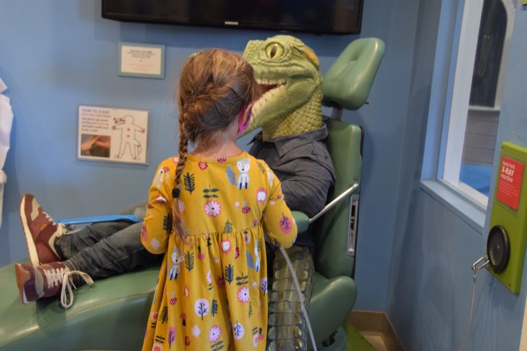 A child standing in front of a stuffed alligator pretending to be a dentist at the Children's Museum of Sonoma in Santa Rosa