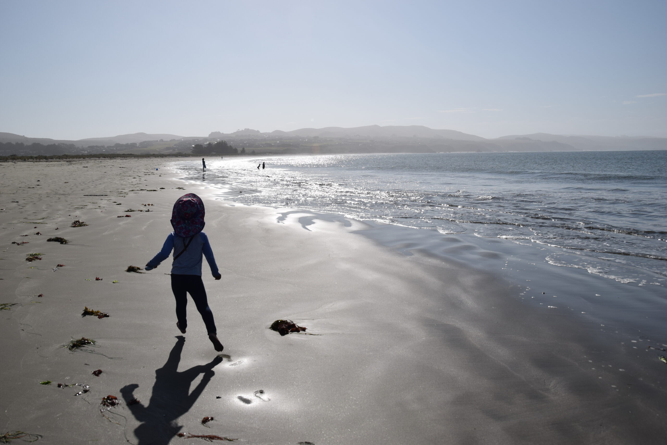 Bodega Bay with Kids: A Family-Friendly Guide to Coastal Fun