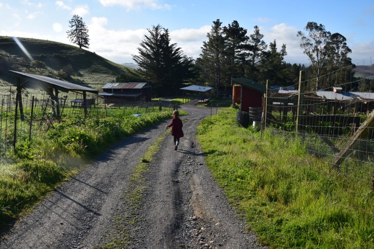 A child running down a dirt road at Patty's Farm Stay in Bodega Bay