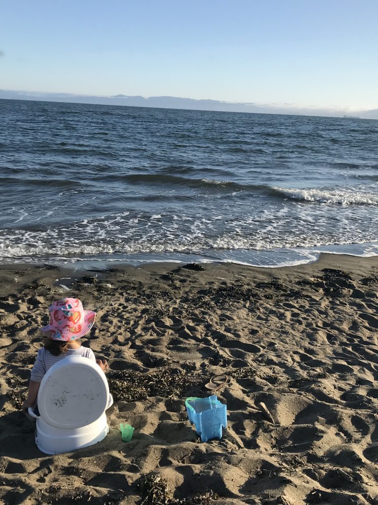5 Tips for Successful Potty Training While Traveling – For Families On The Go