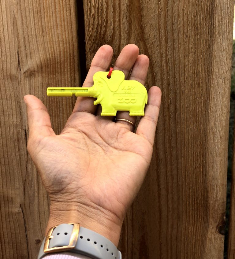 Open palm in front of a wooden fence holding a yellow key shaped like an elephant.