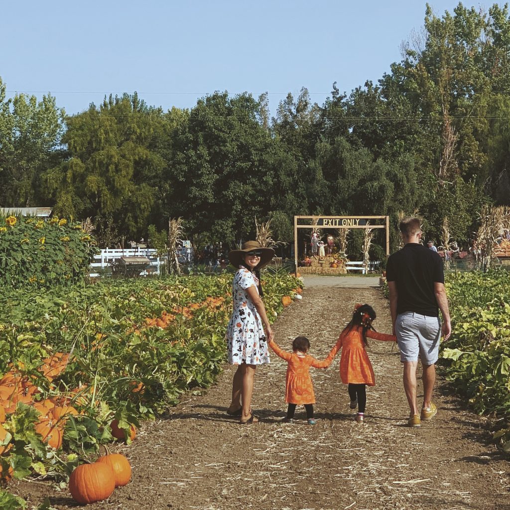 family with two adults and two kids walking hand-in-hand along pumpkin patch