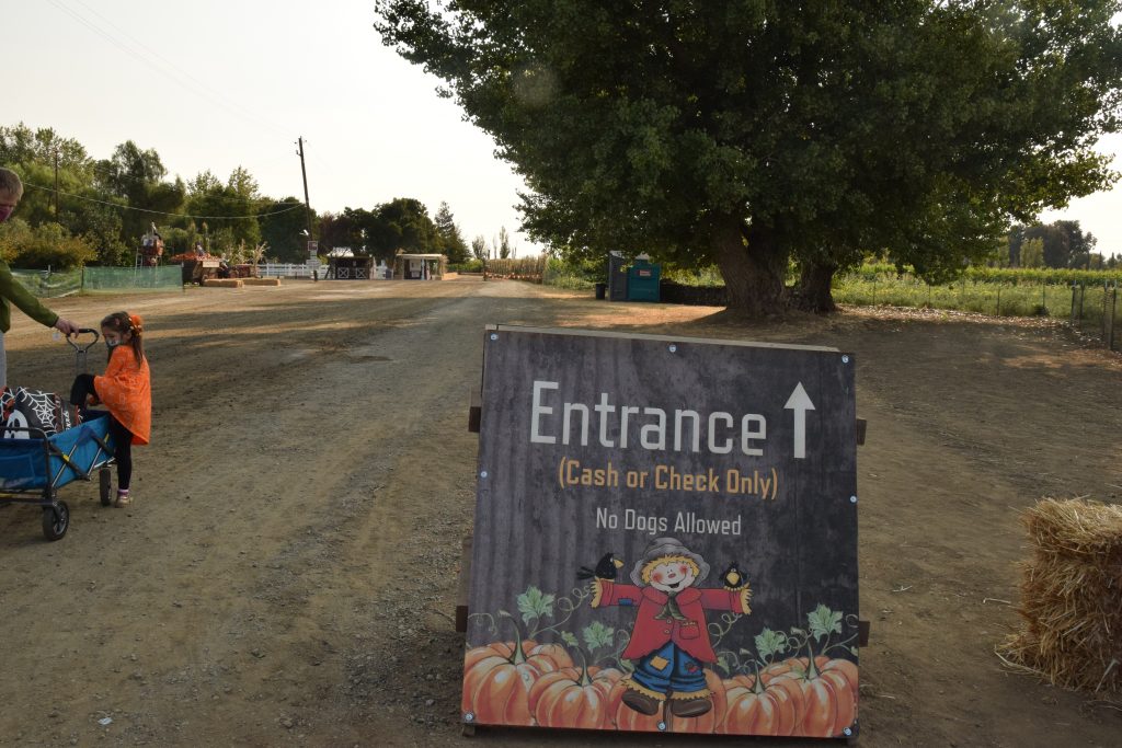 Entrance sign to the pumpkin patch. Little girl pulling a wagon down a dirt road.