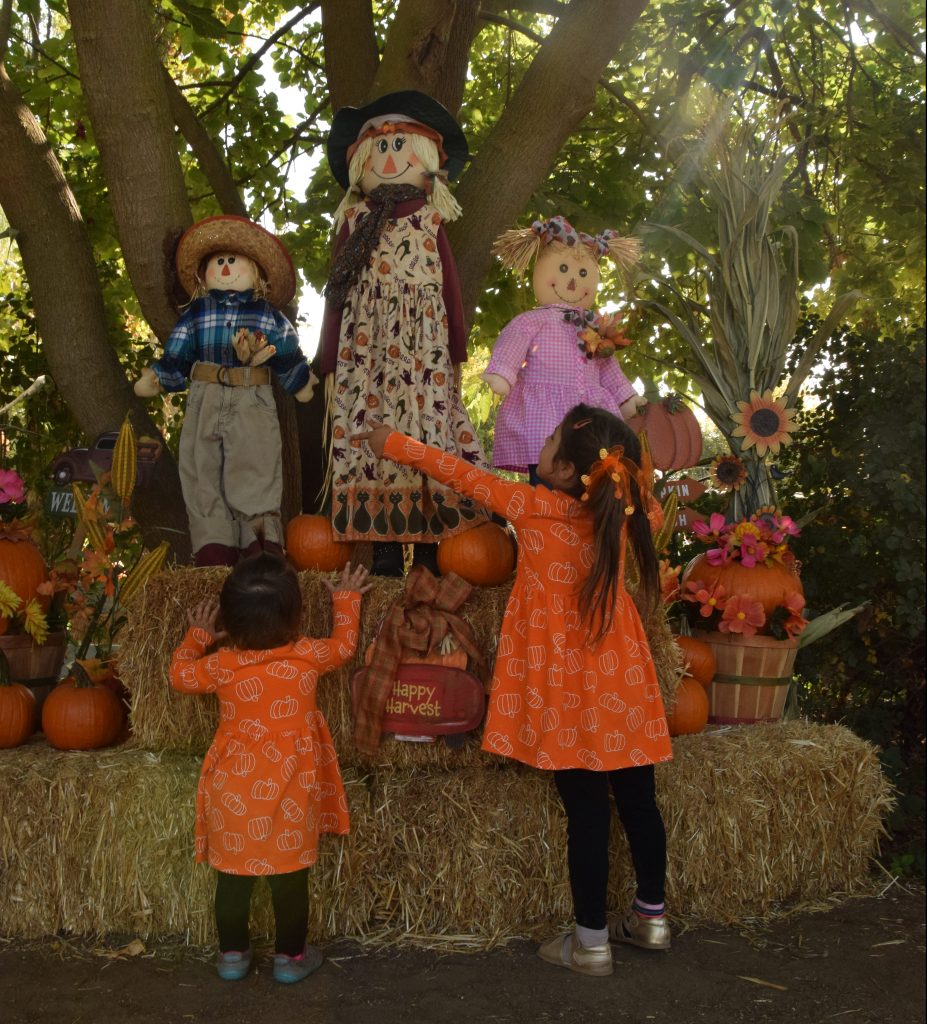 two children wearing matching pumpkin dresses pointing at scarecrows