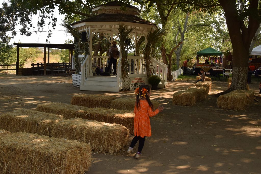 child running towards a white gazebo surrounded by hay bails at Smith Family Farm Pumpkin Patch in Brentwood, California