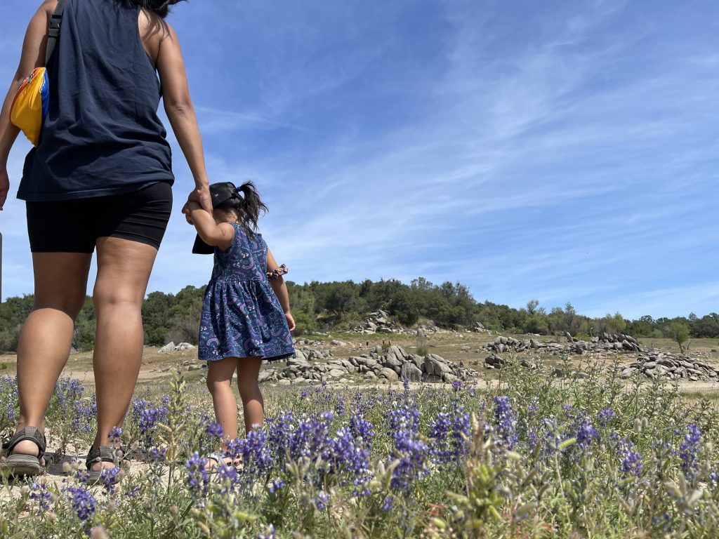 Jelly and her kid face away from the camera as they stand in a small field of lupines at Beeks Bight.