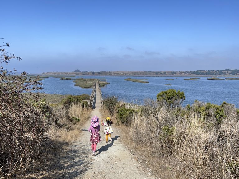 two little kids hiking down a trail surrounded by water
