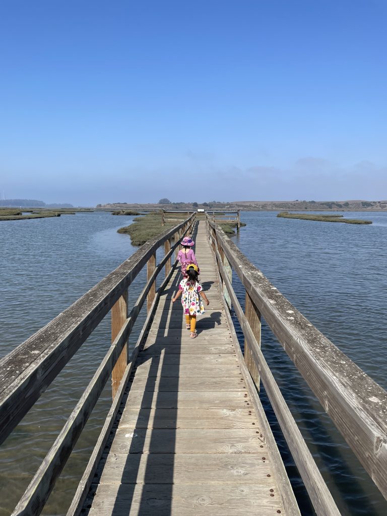 Top Kid-Friendly Hiking, Beaches, and Seafood in Moss Landing (for families with big and little kids)