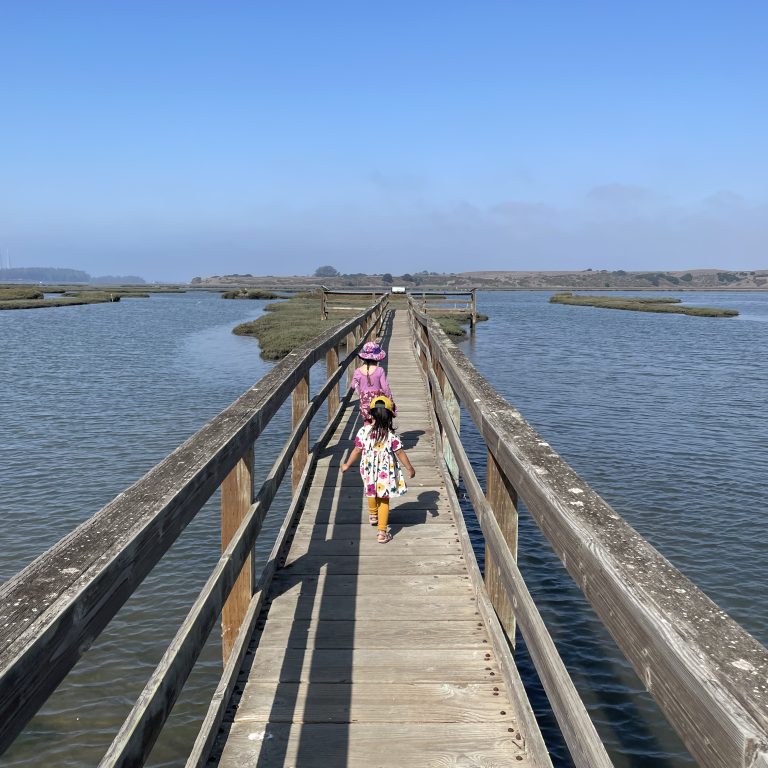 Top Kid-Friendly Hiking, Beaches, and Seafood in Moss Landing (for families with big and little kids)