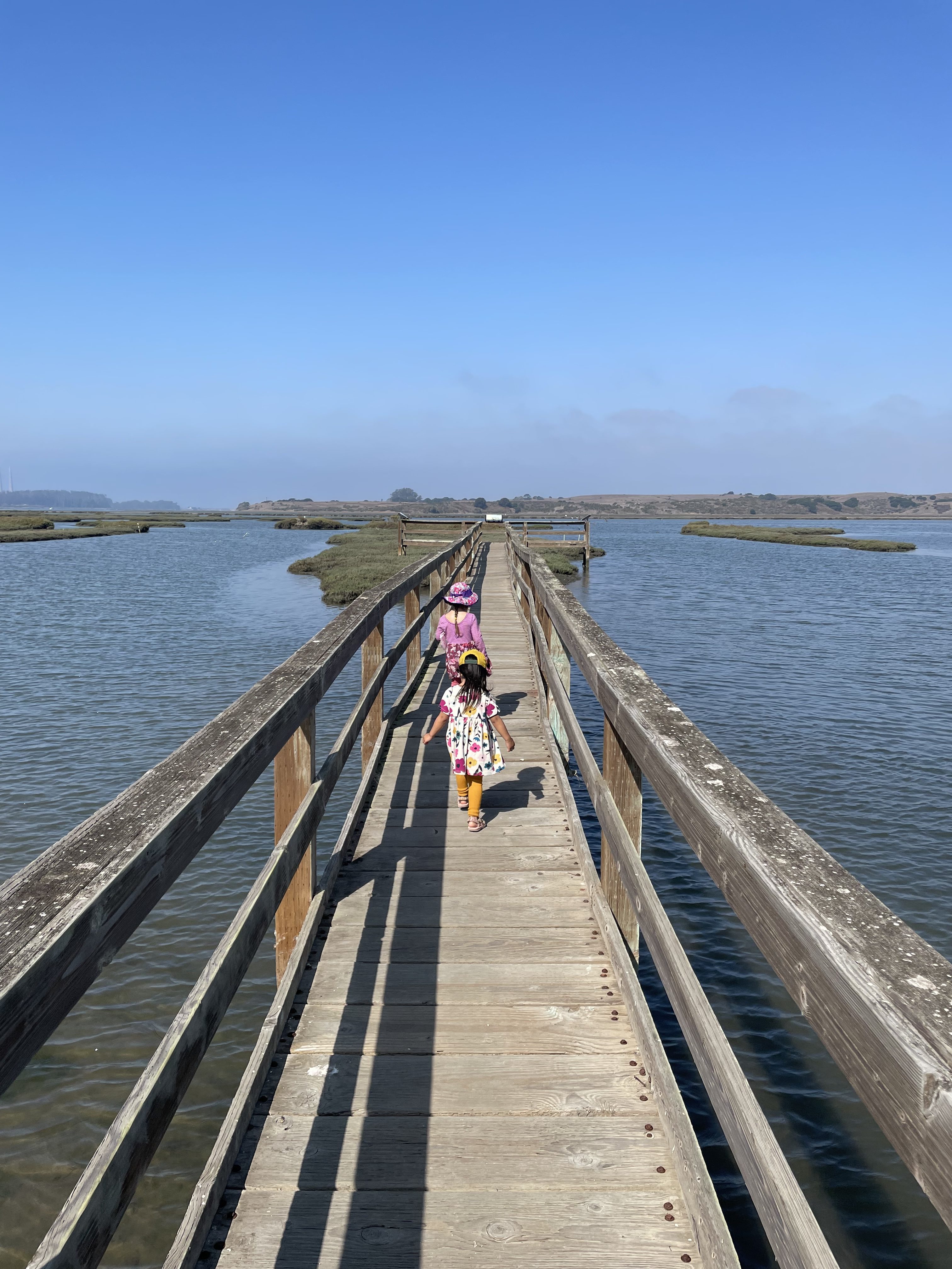 Top KidFriendly Hiking, Beaches, and Seafood in Moss Landing (for