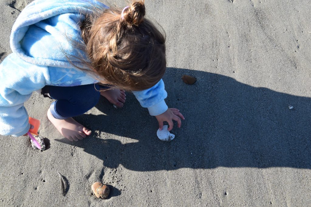 child finding shells on the beach