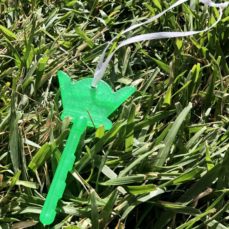 green fairyland key on thet grass