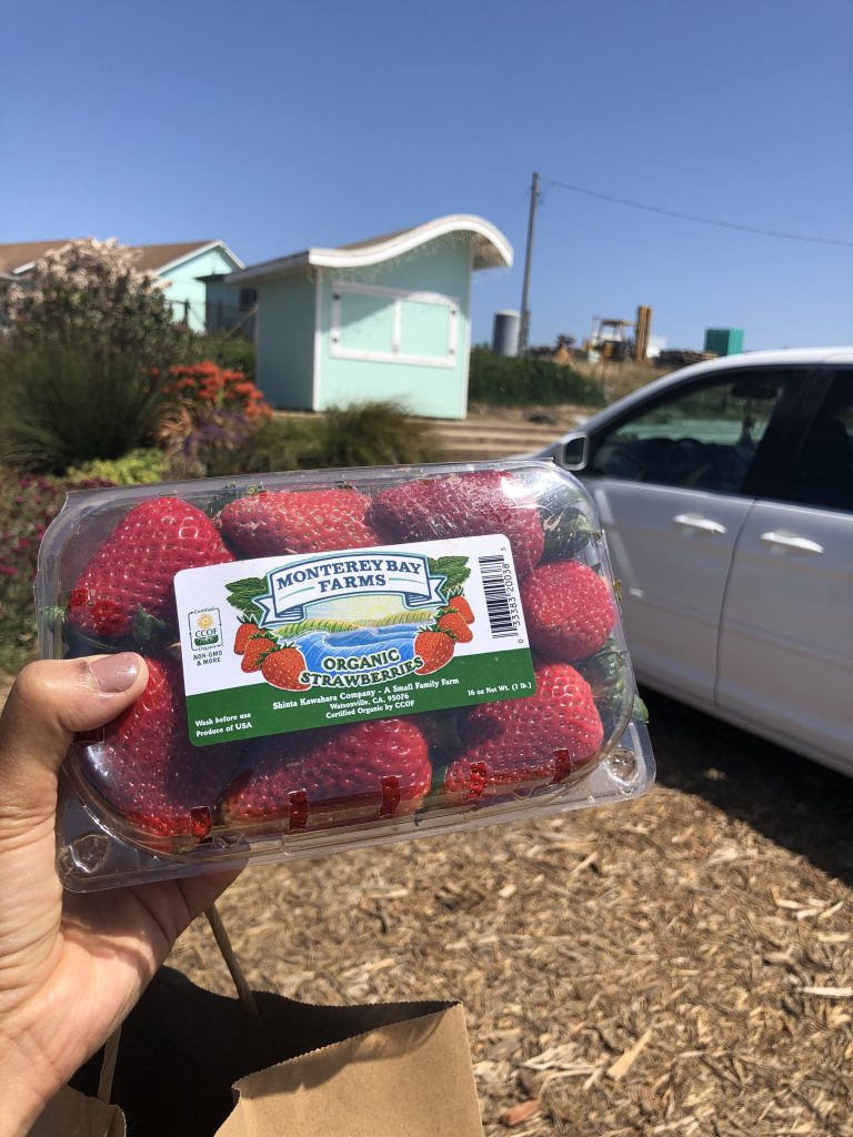 A basket full of strawberries at Kuni Bea farms in Watsonville Asian Owned