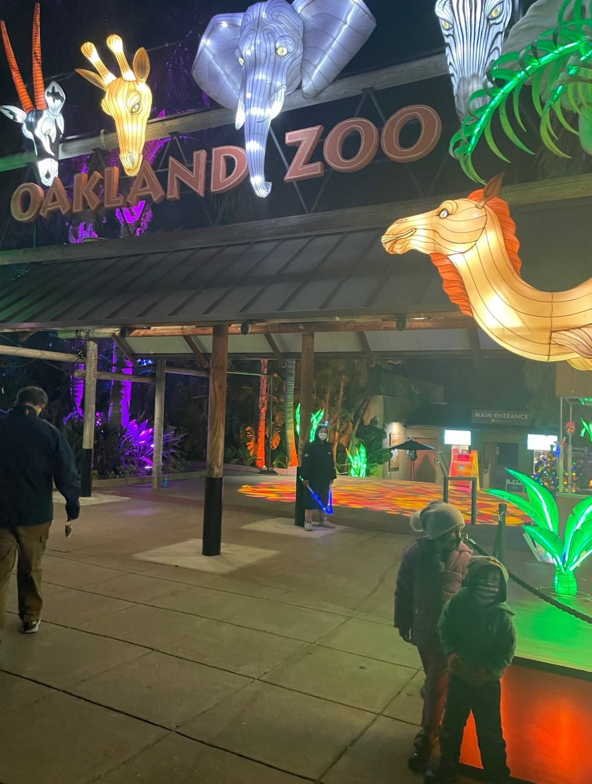 How to Visit Glowfari at the Oakland Zoo this Winter Season Beautiful