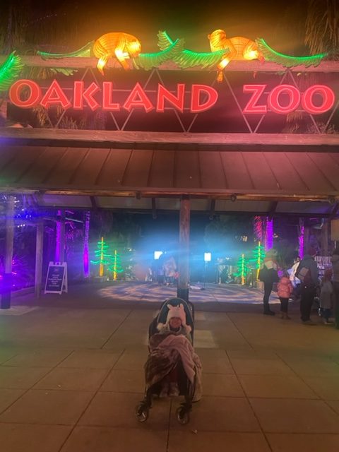 night safari oakland zoo