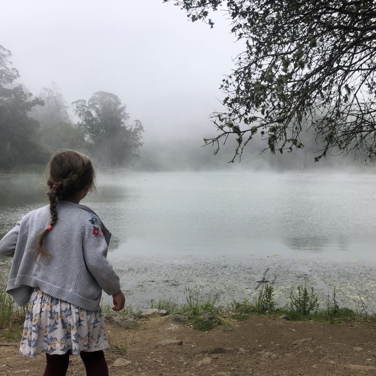 Explore Berkeley’s Tilden Regional Park with Toddlers – Trains, Farm Animals, and an Amazing Carousel