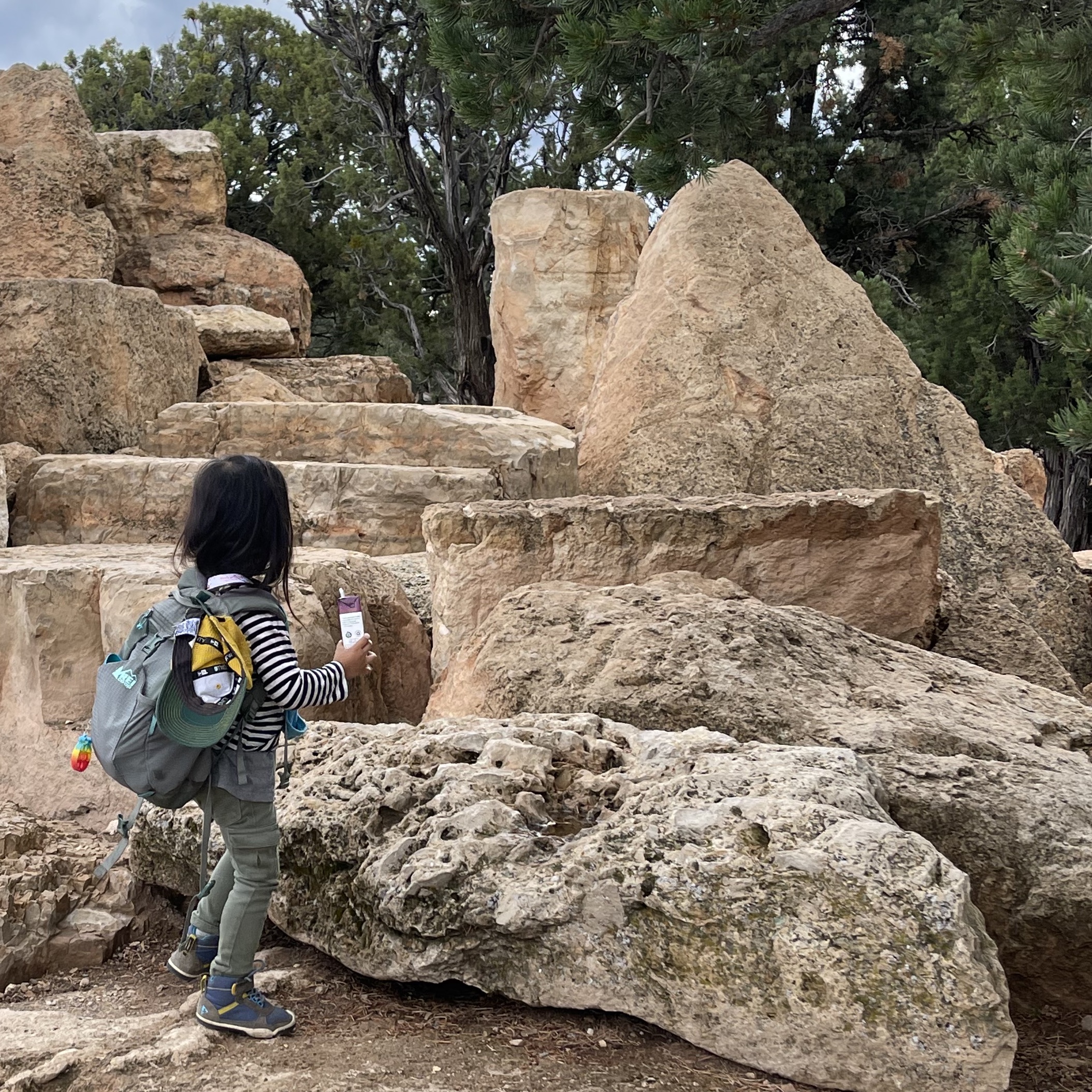 A child holding a juice box walks up boulders at Mather Point at the Grand Canyon.