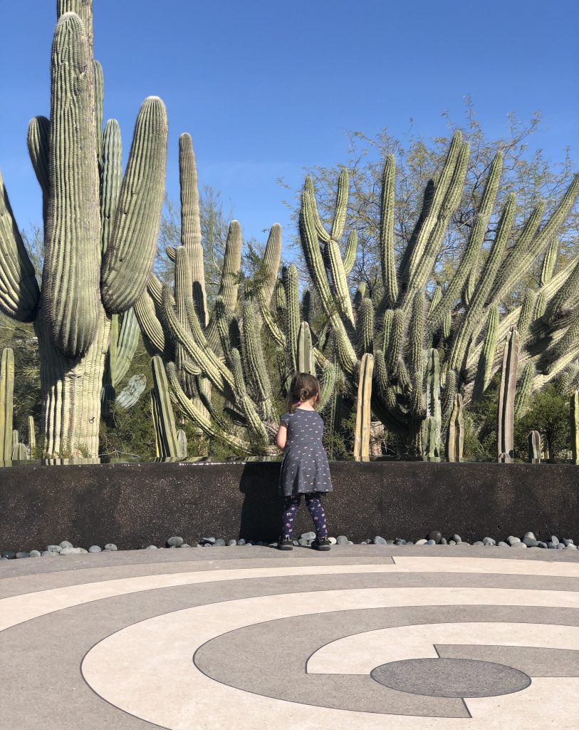 child surrounded by cacti
