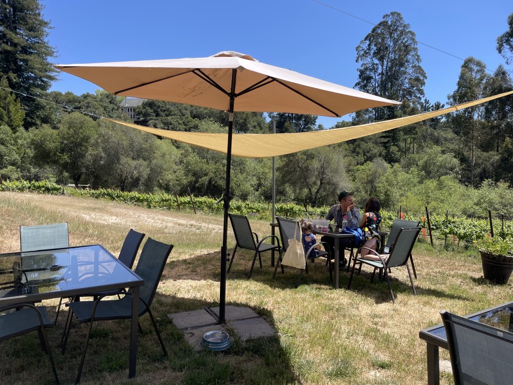 An adult and child sitting at a table at Anatum Winery