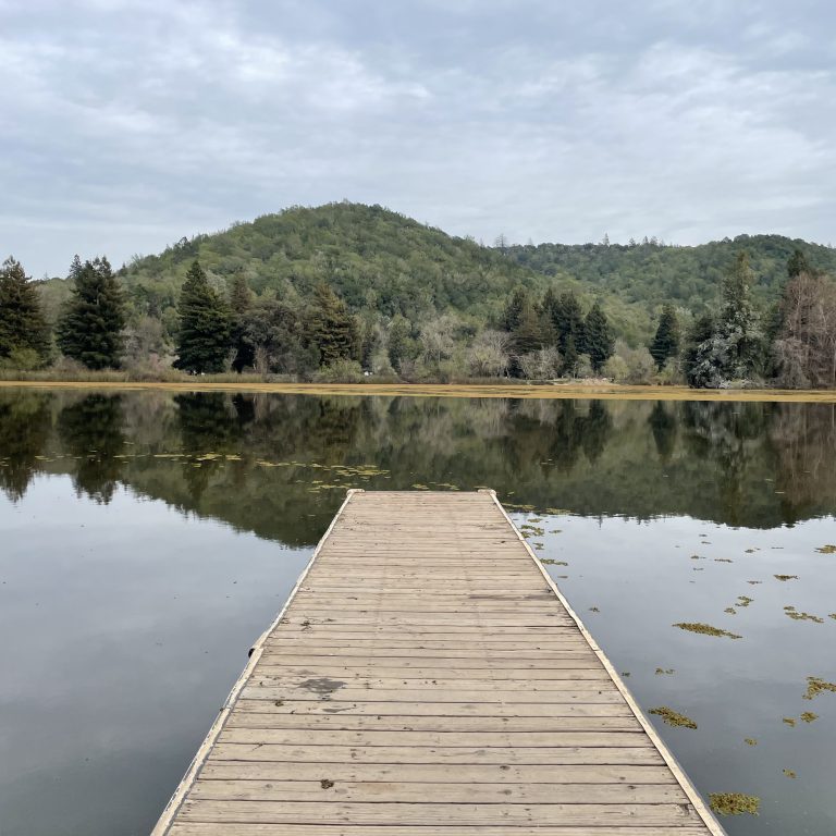 Dive into Spring Lake Regional Park Campground with your Kids