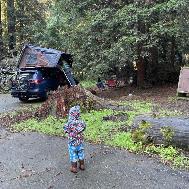 How to Sleep Under the Redwoods at Samuel P. Taylor Campground with your Kids