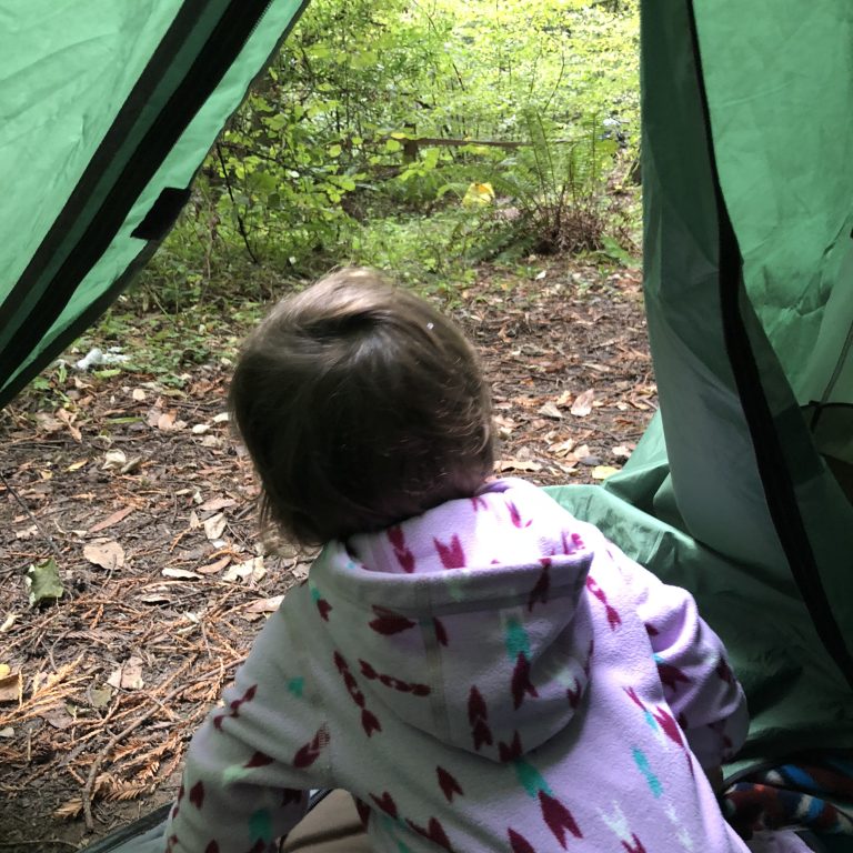 Top 8 Family-Friendly Campgrounds Within 1.5 Hours of the San Francisco Bay Area