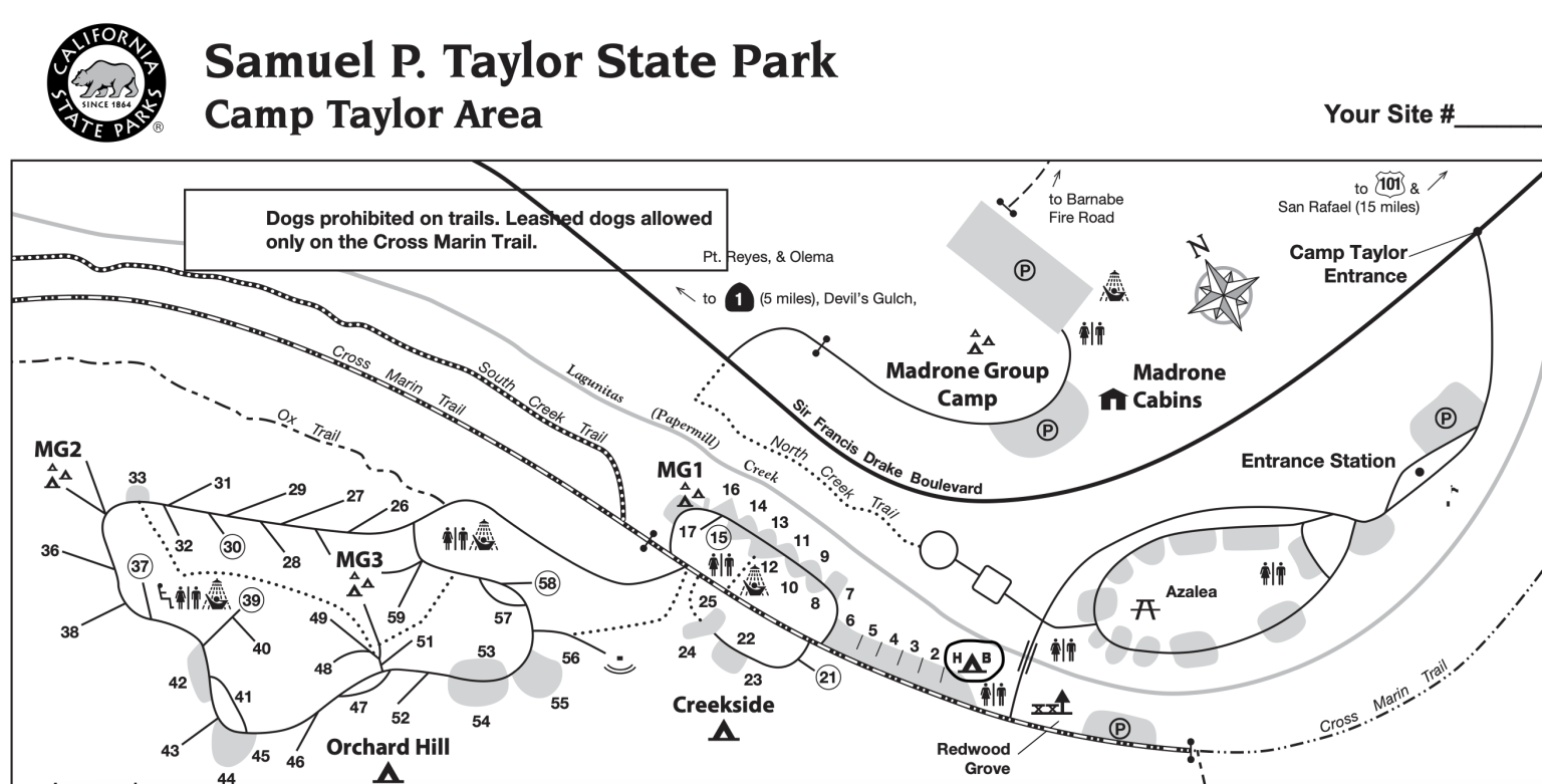 How to Sleep Under the Redwoods at Samuel P. Taylor Campground with ...