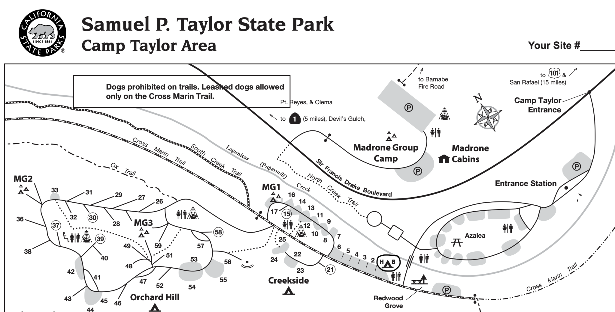 How to Sleep Under the Redwoods at Samuel P. Taylor Campground with 