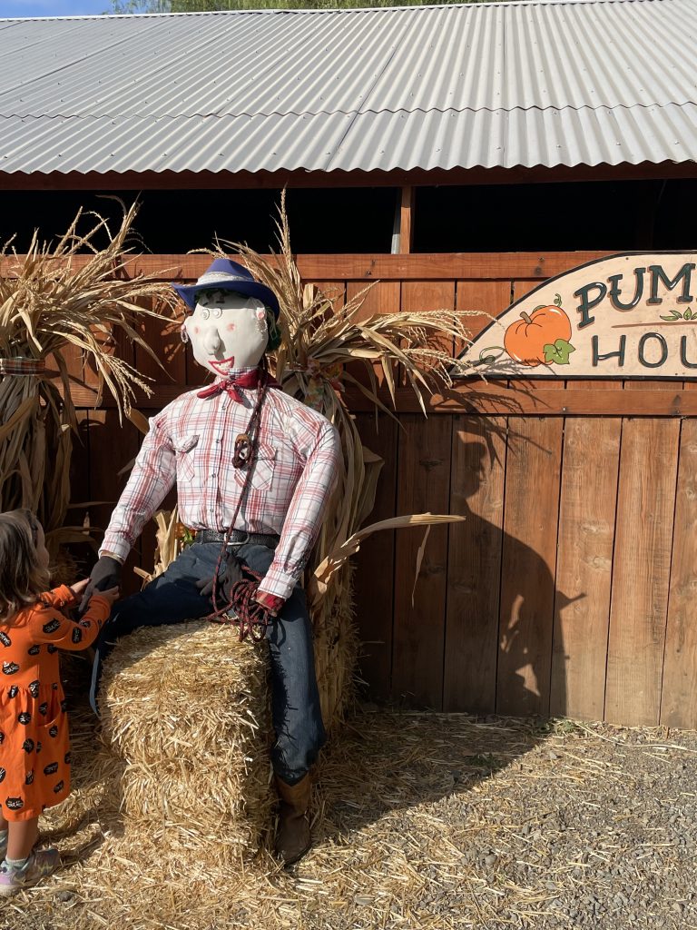 How to Visit Smith Family Farm – the Best Pumpkin Patch in the Bay Area