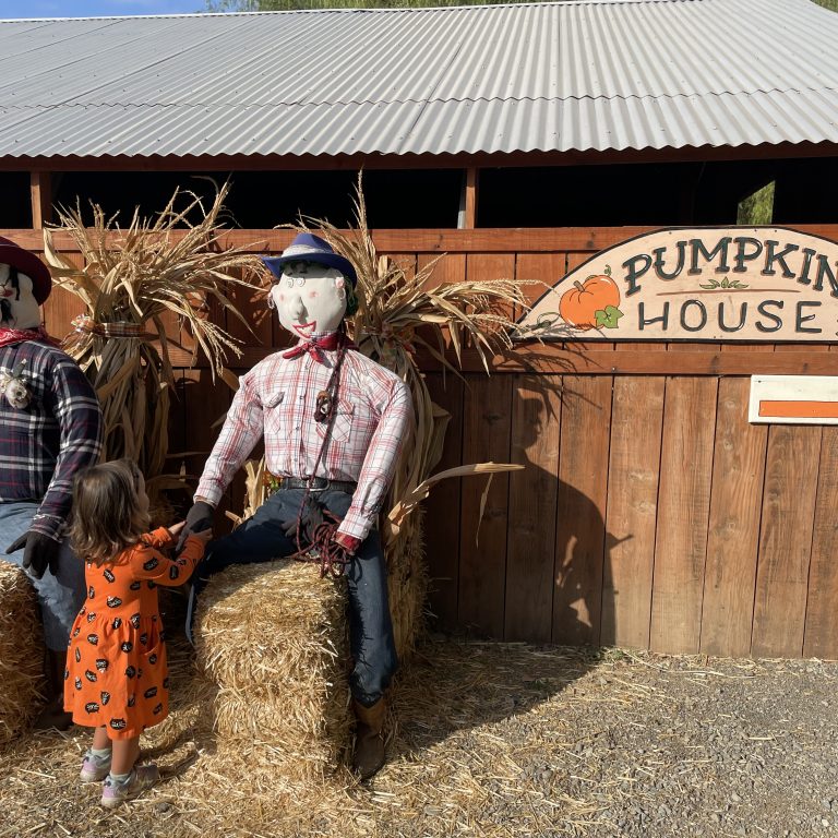 How to Visit Smith Family Farm – the Best Pumpkin Patch in the Bay Area