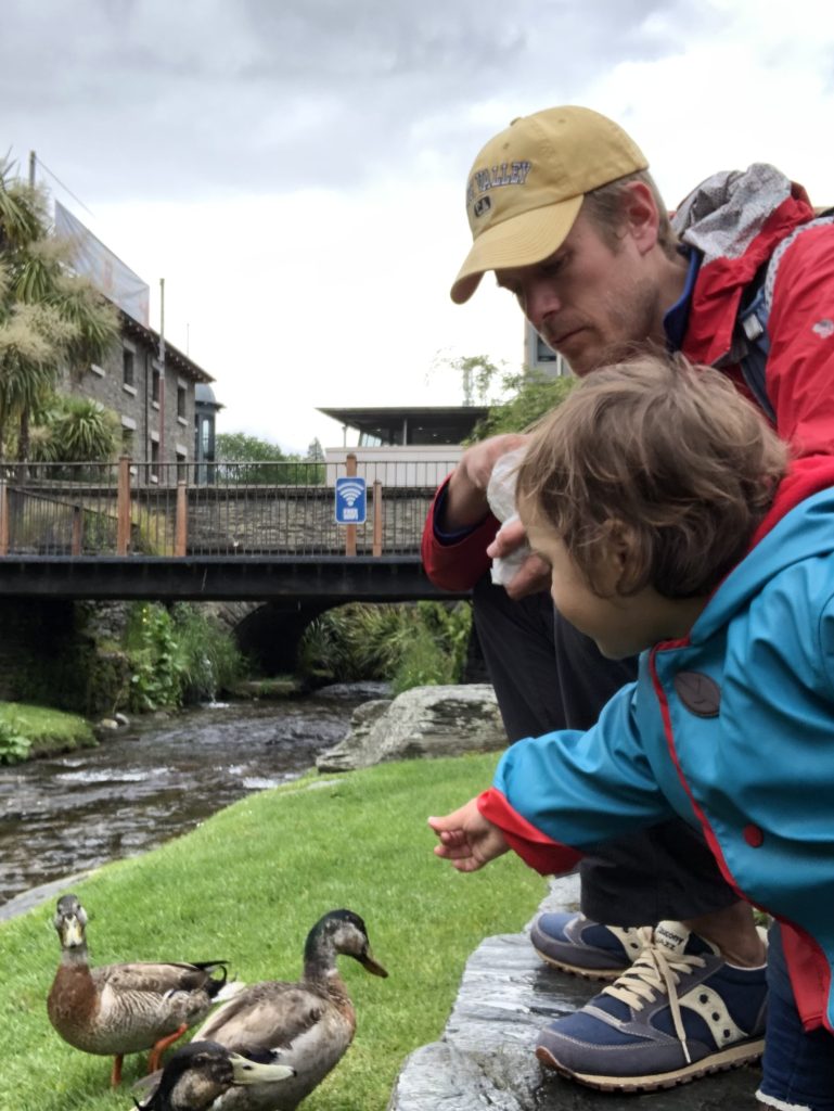 Child pointing at ducks with an adult in Queenstown New Zealand