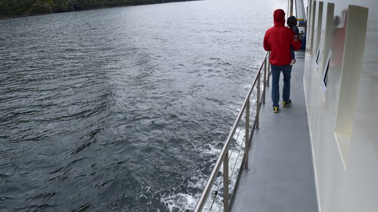 Smooth Sailing: Is the Doubtful Sound Cruise Suitable for Toddlers?