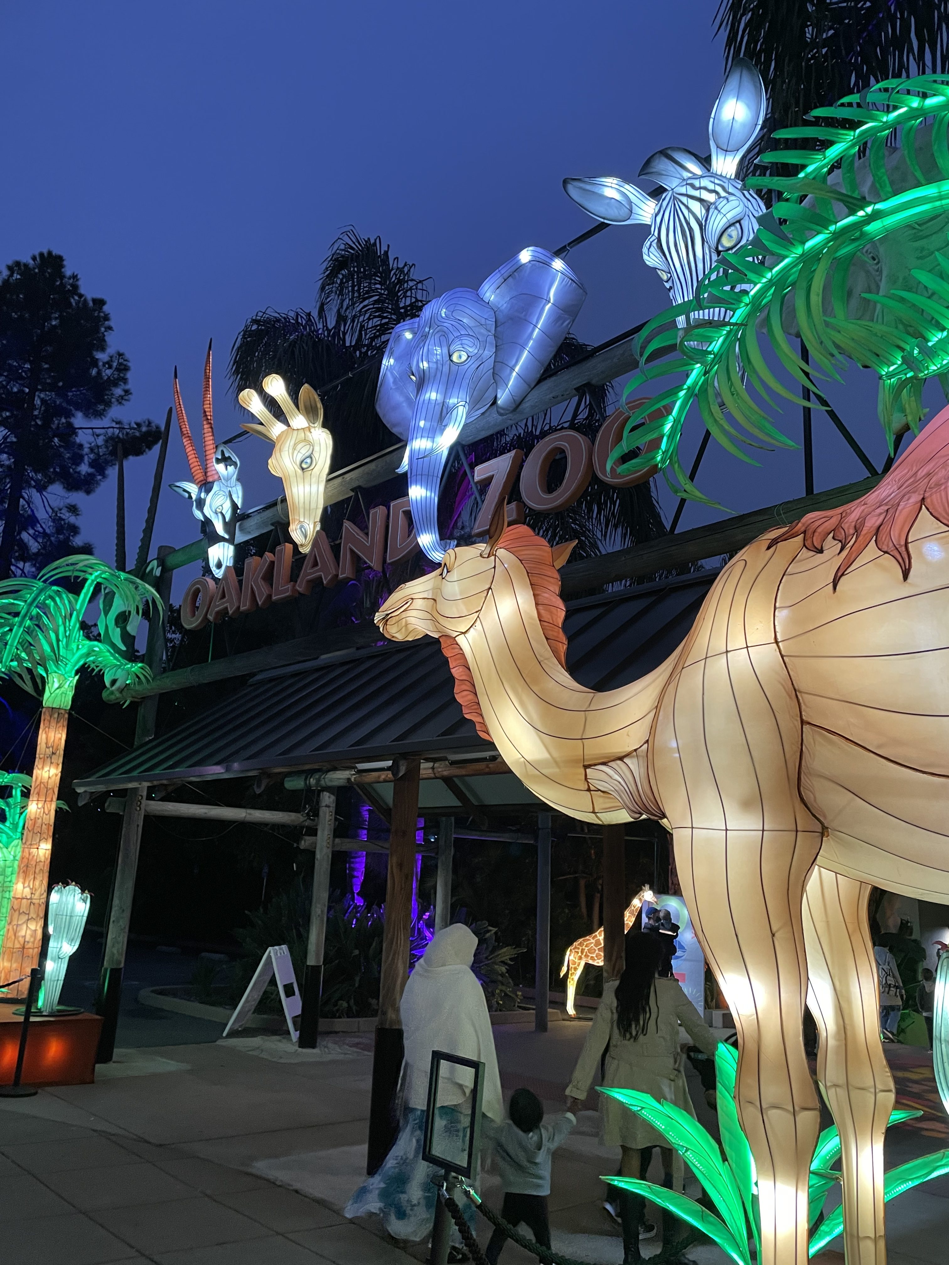 8 Tips for Visiting Glowfari with Kids at the Oakland Zoo this Winter