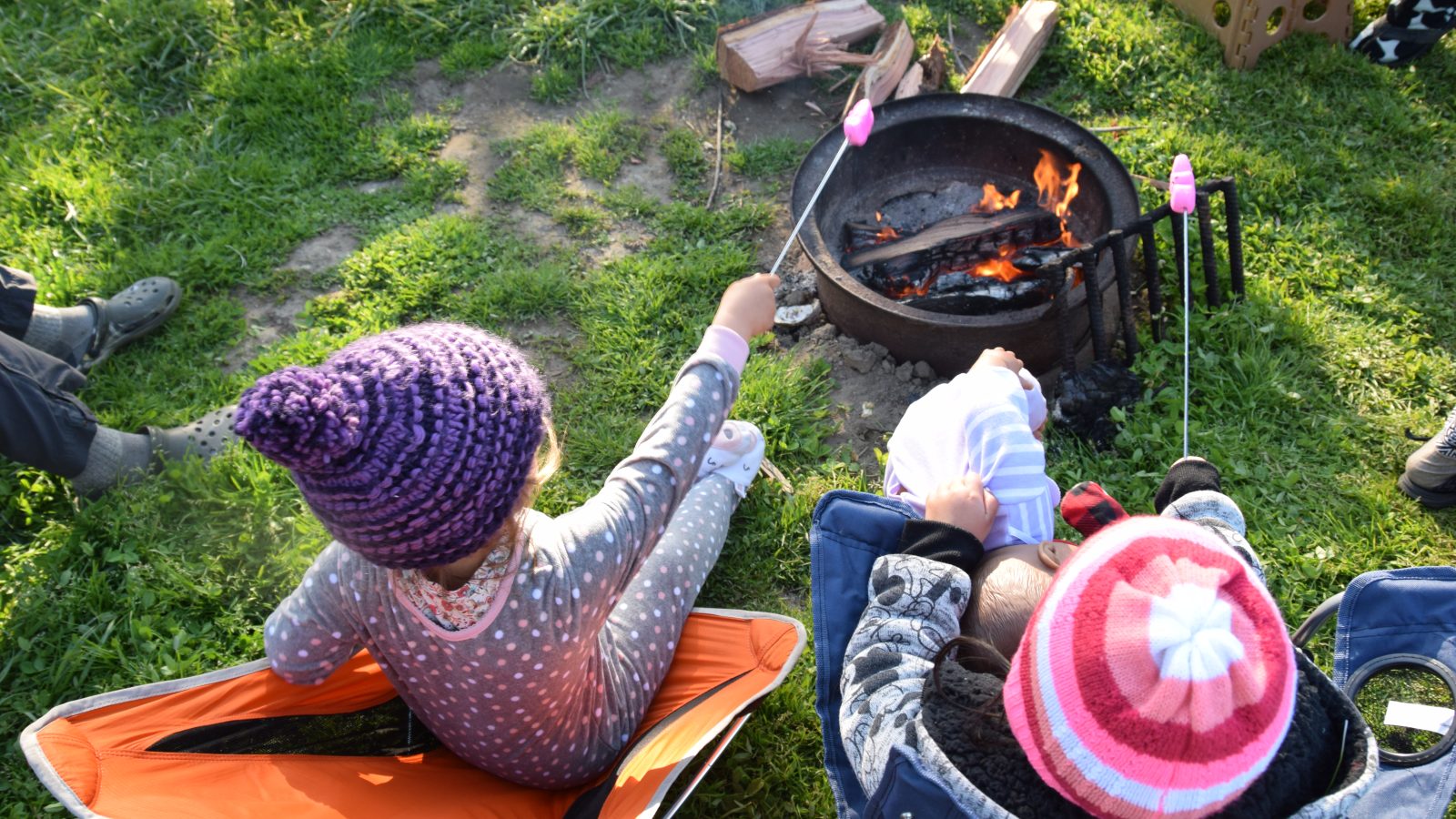 Olema Campground is the Best Last-Minute Campground to Book in the Bay Area with Kids