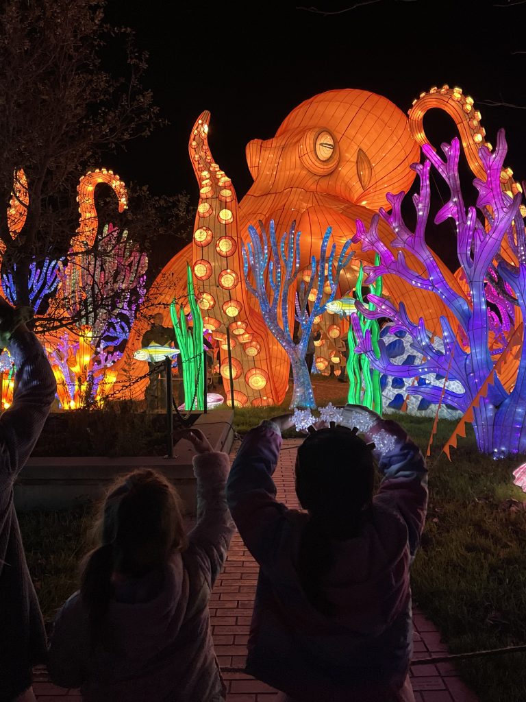 8 Tips for Visiting Glowfari with Kids at the Oakland Zoo this Winter Season