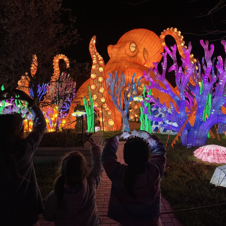 8 Tips for Visiting Glowfari with Kids at the Oakland Zoo this Winter Season