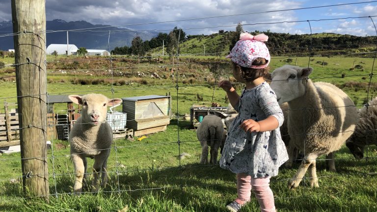 Te Anau Treasures: A Perfect Day with Your Toddler in New Zealand’s Gateway to Fiordland