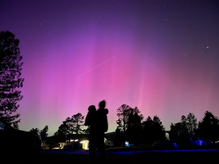 a silhouette of a mother carrying her child and the surrounding trees against a greenish, pink, and purple night sky.