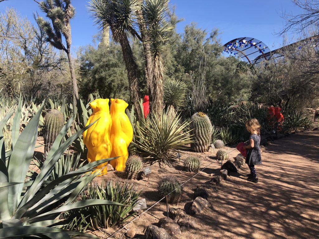 Child walking in front of cactus display and art at the Desert Botanical Garden in Arizona