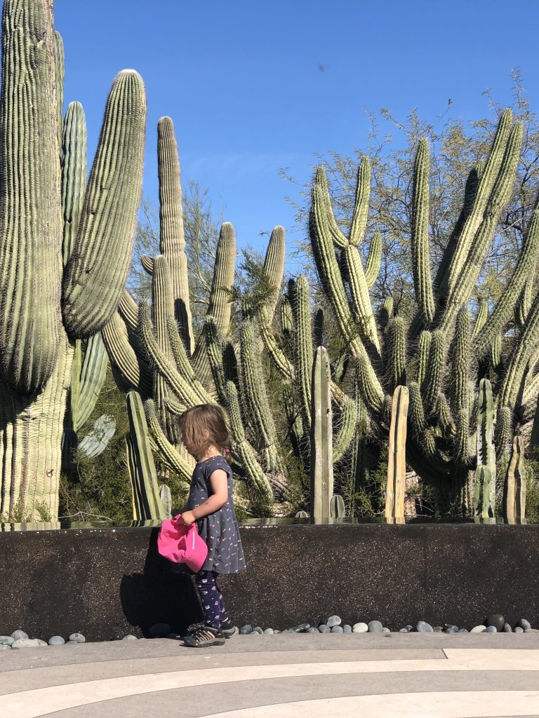 How to Visit Phoenix with your Kids – Where to Eat & Play