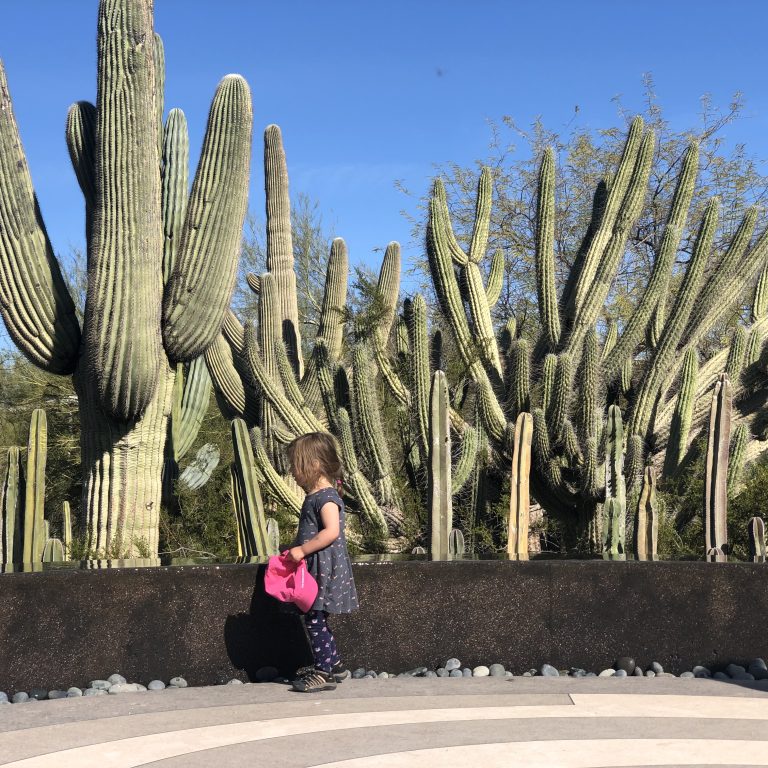 How to Visit Phoenix with your Kids – Where to Eat & Play