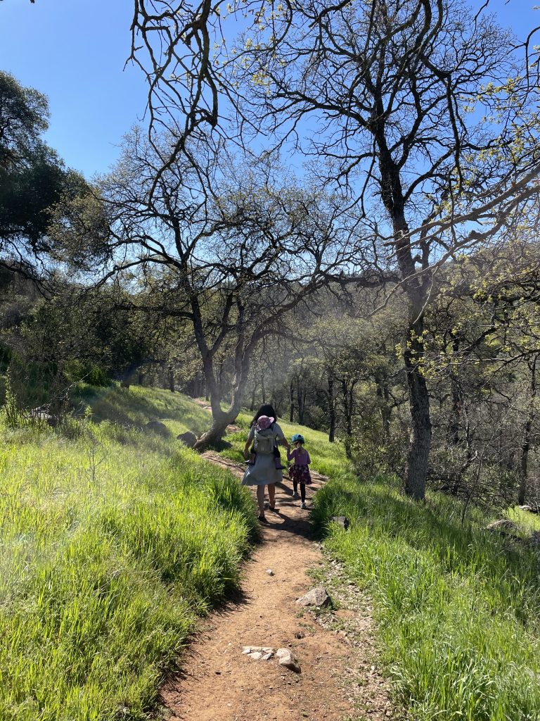 women and children hiking along a trail in a grassy meadow at Natural Bridges Trail near Murphys California