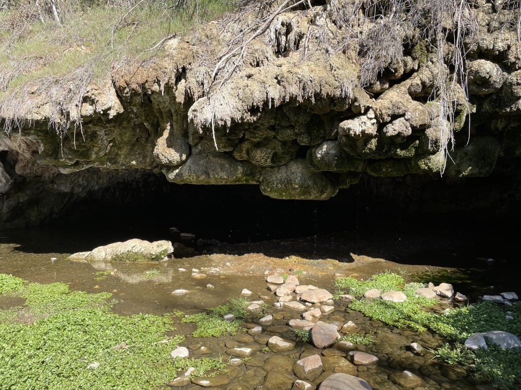A shallow cave with water below at Natural Bridges Trail near Murphys California in Calaveras County