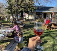 Glass of wine in a grassy area with two kids at a picnic table at Hovey Winery in Murphys on Main Street