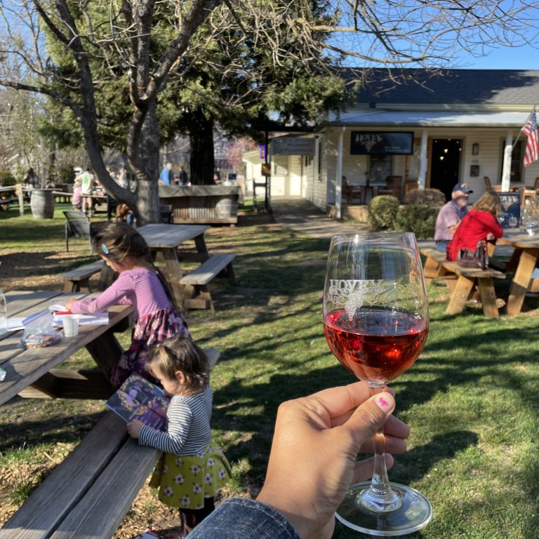 Sip, Savor, and Play: Wine Tasting in Murphys with Kids – A Family-Friendly Experience