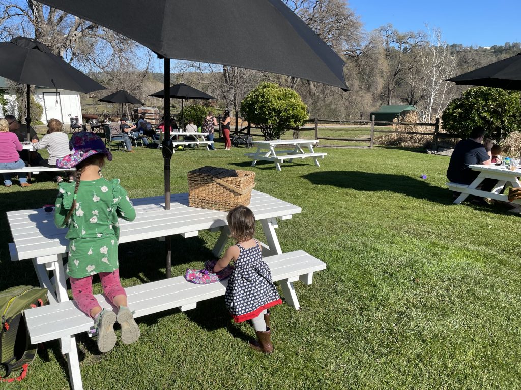two children sitting at a picnic table at Indian Rock Vineyards in Murphys
