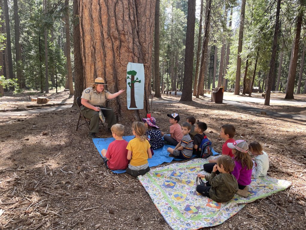 A group of Junior Rangers and Junior Cubs listening to a story at Calaveras Big Trees State Park in Arnold