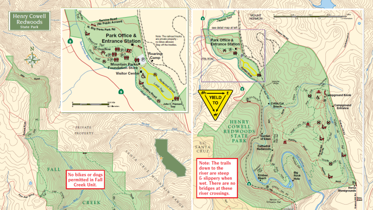 Camping Among Giants: A Family Adventure at Henry Cowell Redwoods State ...